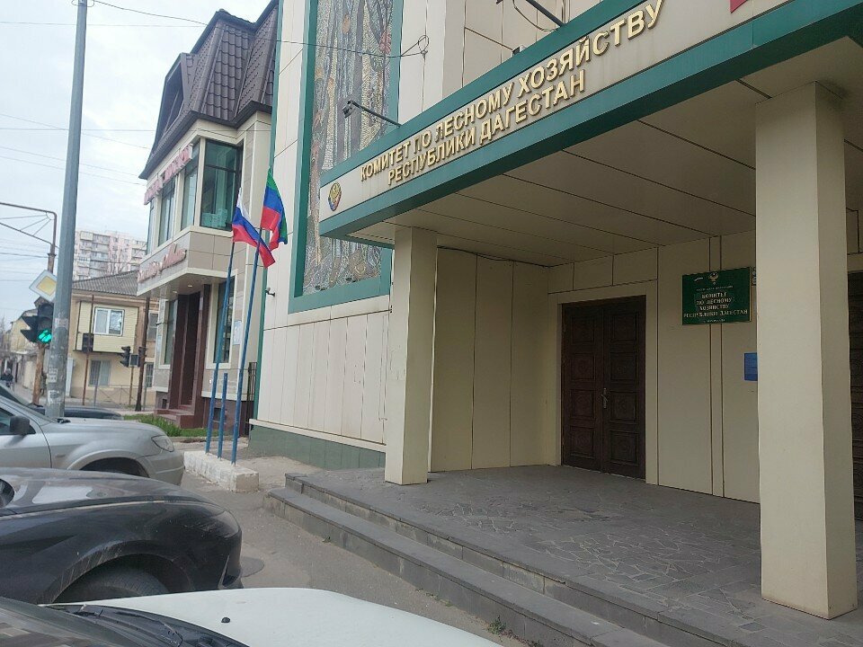 State supervisory bodies Комитет по лесному хозяйству республики Дагестан, Makhachkala, photo