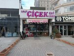 Batıkent Florist Umut Flower House (Ankara Province, Yenimahalle, Çakırlar Mah., 2189th Avenue, 34A) ، محل زهور
