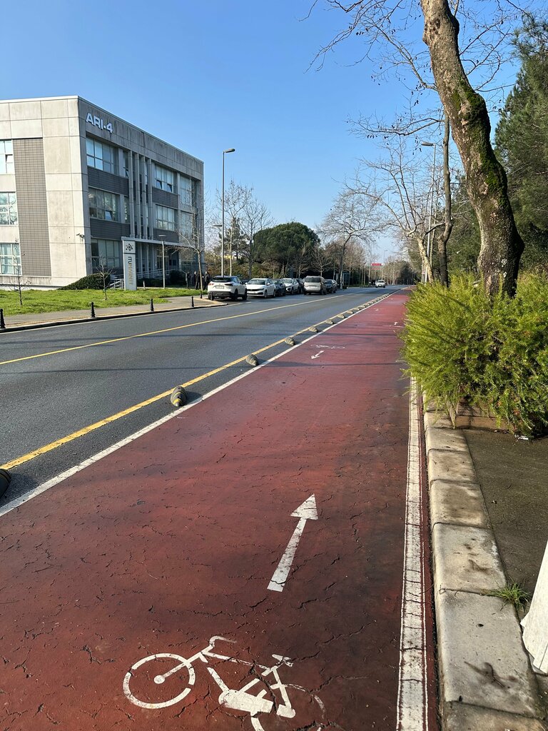 Software companies Wiseback, Istanbul, photo