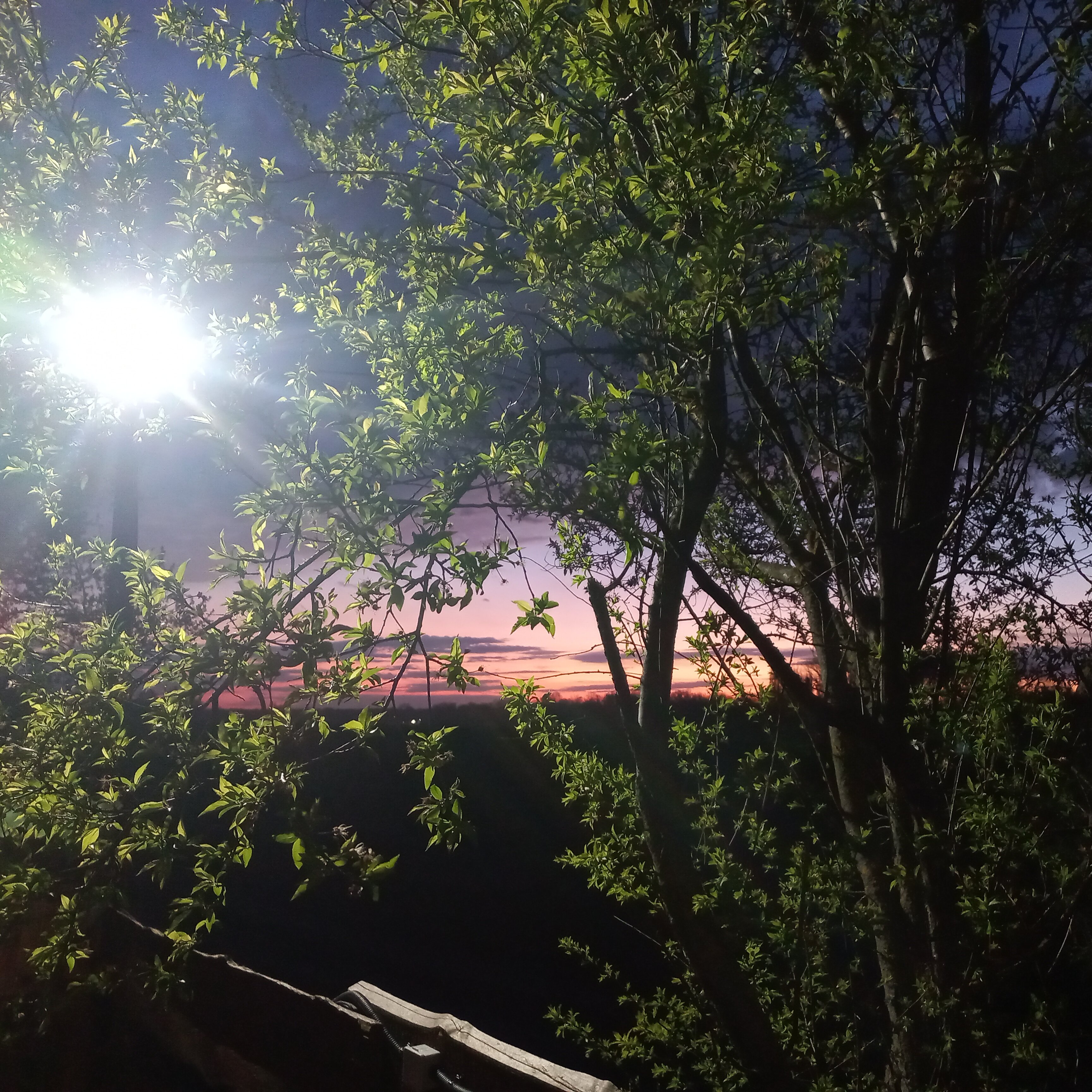 Фото Шурале