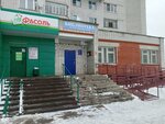 Biblioteka semeynogo chteniya imeni V. Davydova-Anatri (Zapadny zhiloy rayon, mikrorayon Yurakovo, Yuzhnaya Street, 6), library