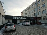 Pandora (ulitsa Permyakova, 44), car alarm