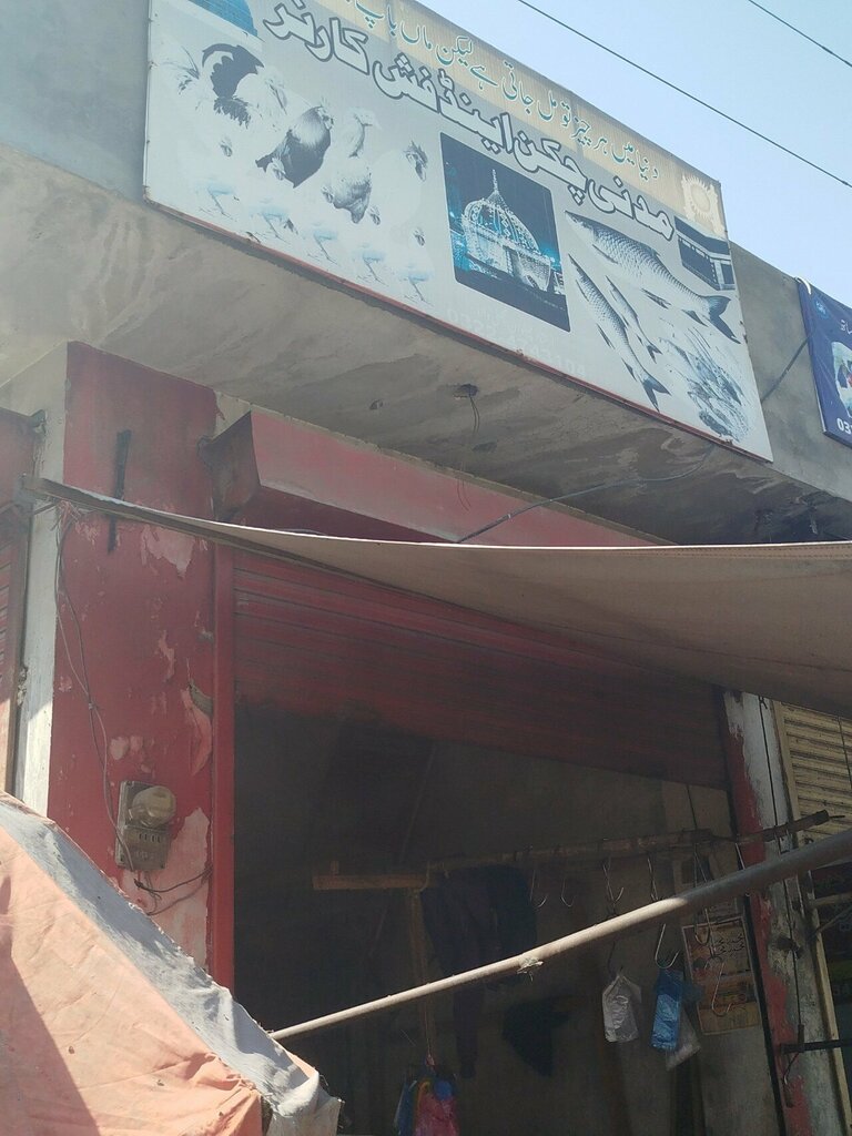 Egg and poultry meat Madin chicken and fish corner, Lahore, photo