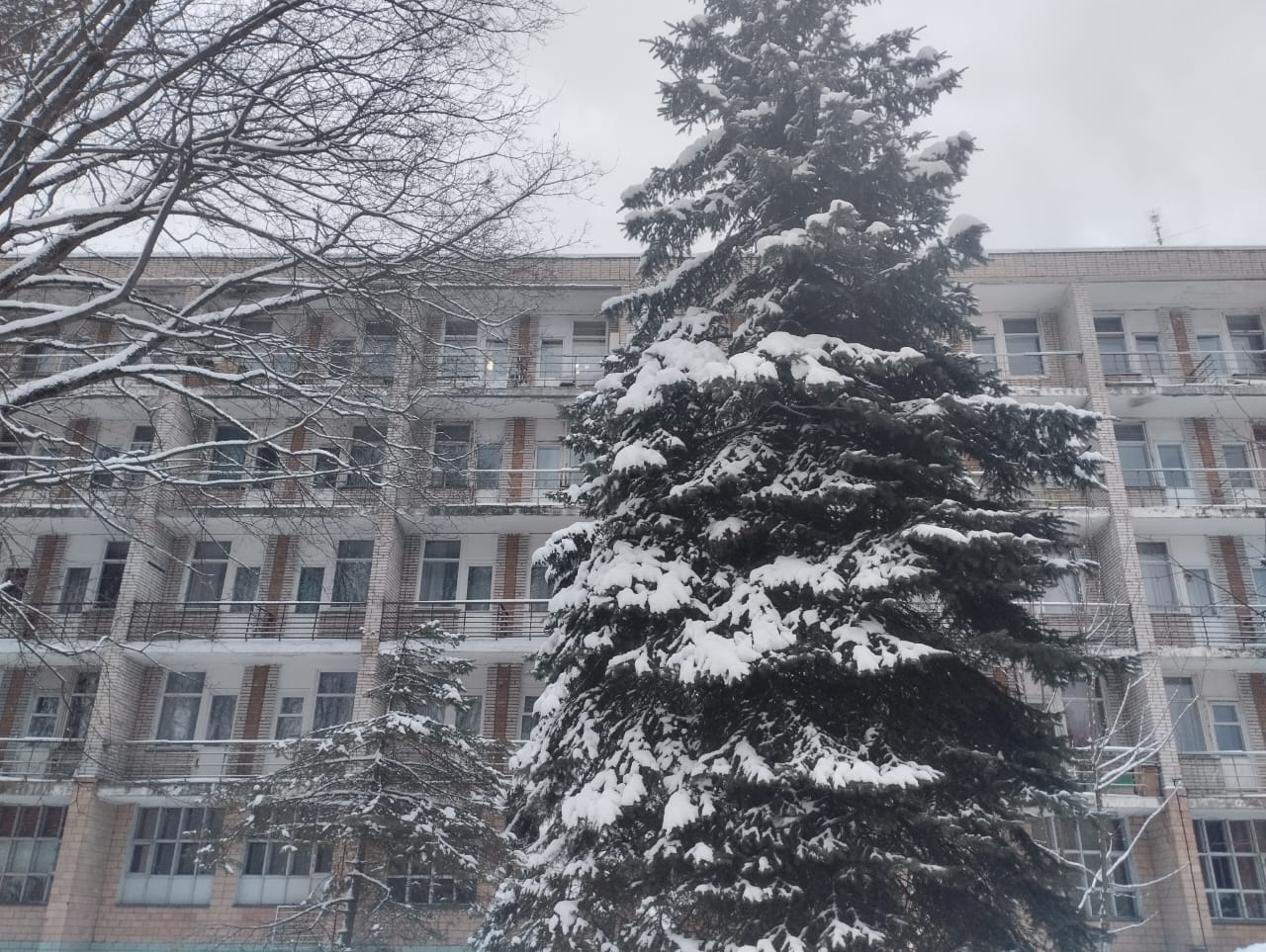 Фото Санаторий-профилакторий Лесной Дворик