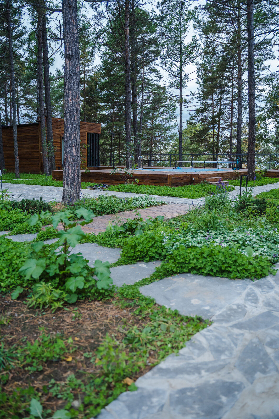 Фото Тэнсуури