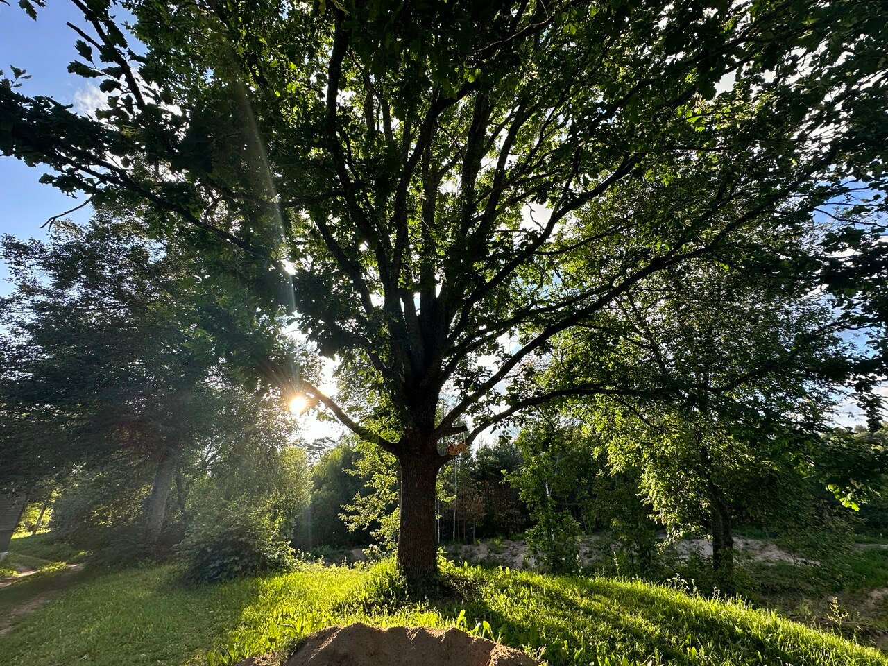 Фото Зеленьково