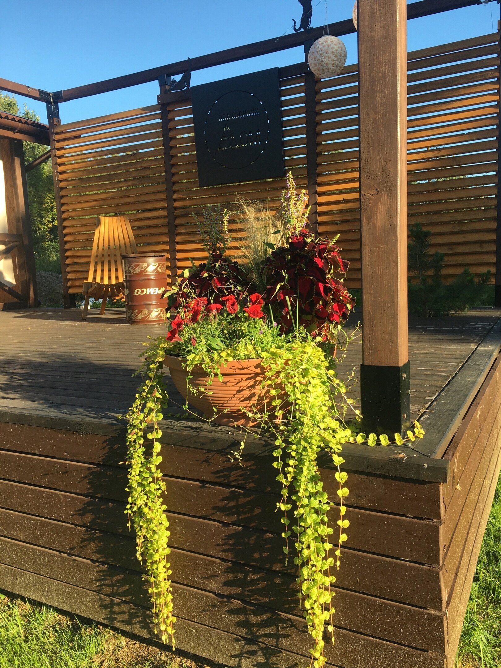 Фото Дом под соснами