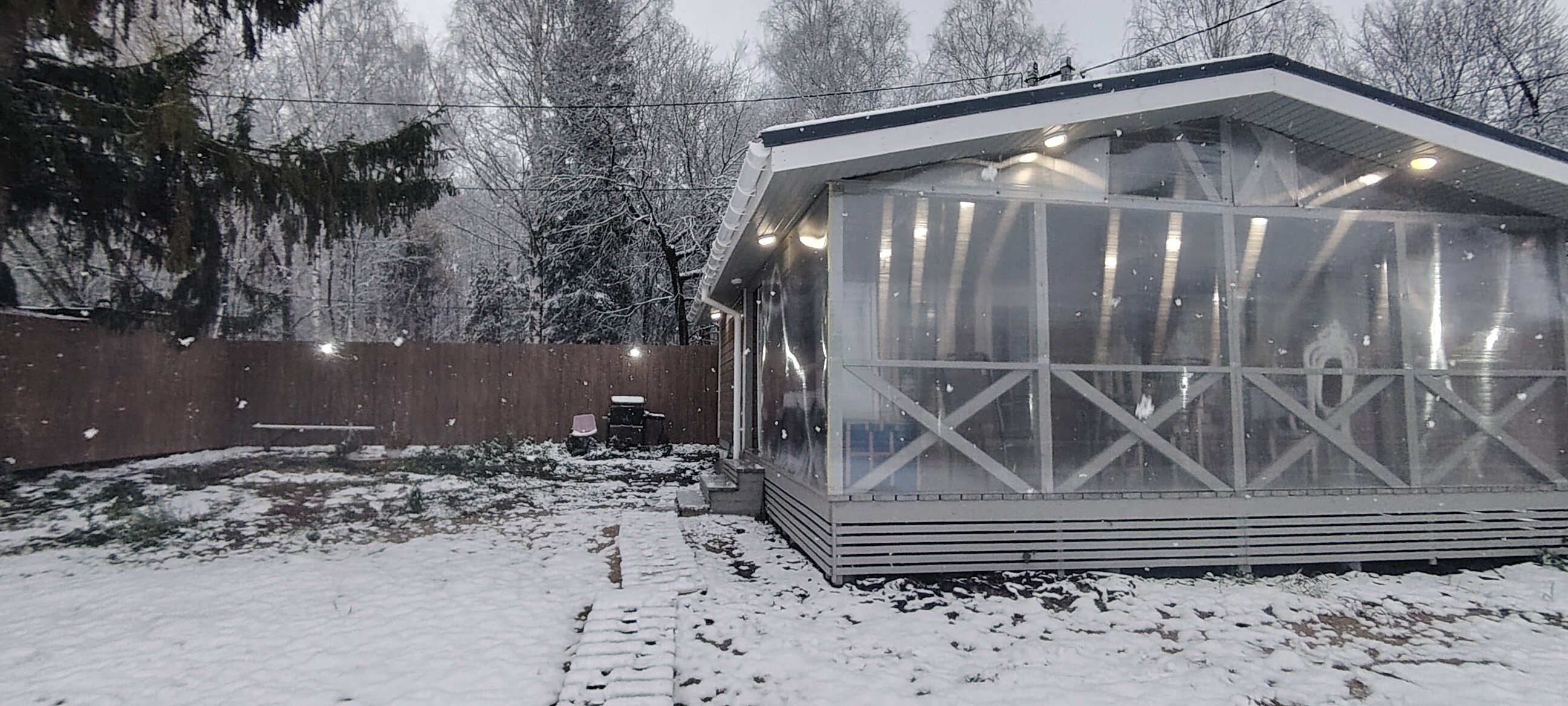 Фото Щеголиха