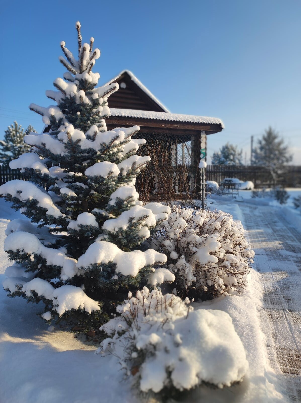 Фото Берендей