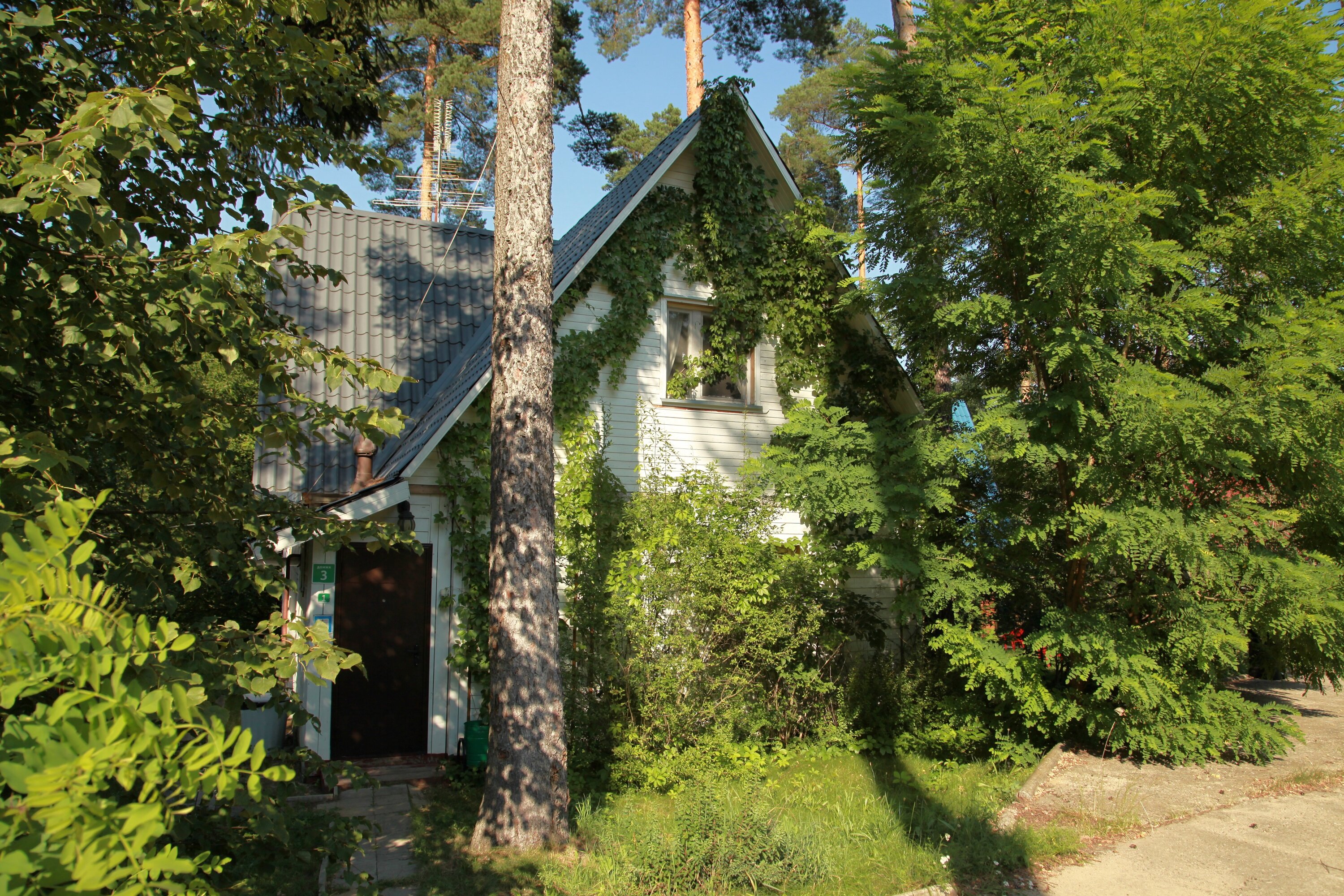 Фото Ателика Улиткино