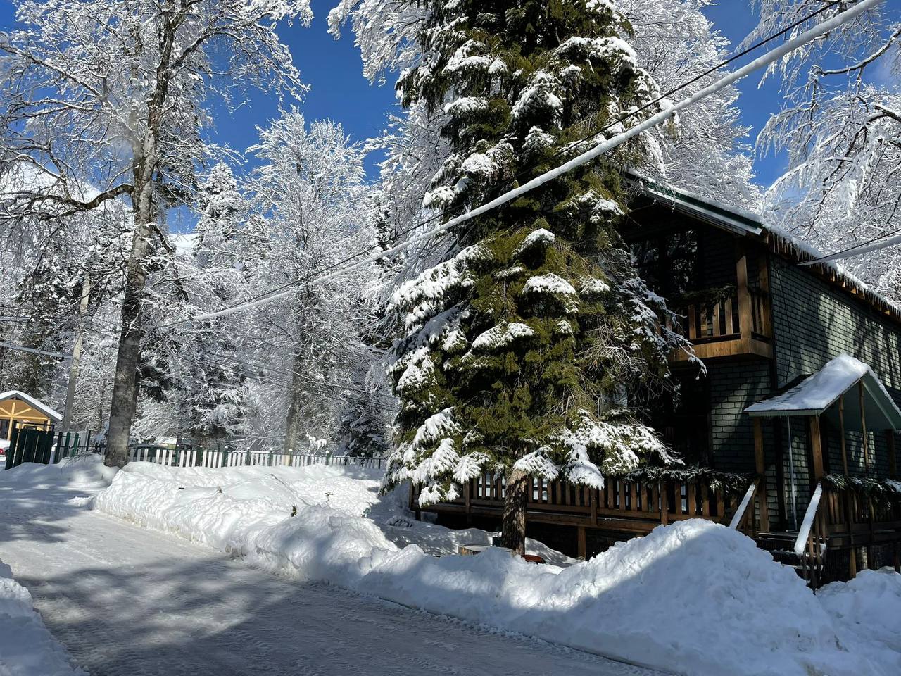 Фото Green Park Arkhyz SPA & Усадьба