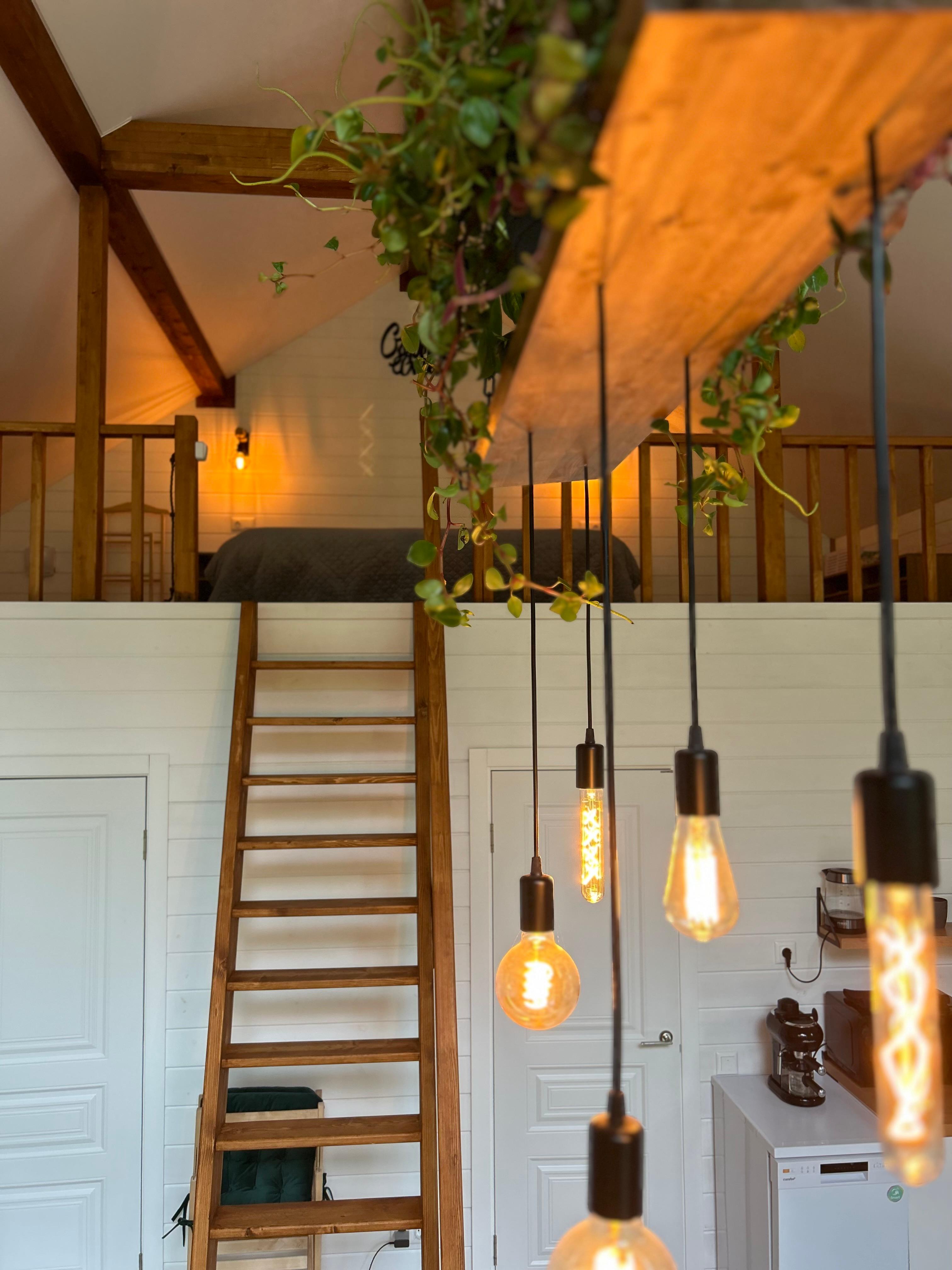 Фото Лу Хаус