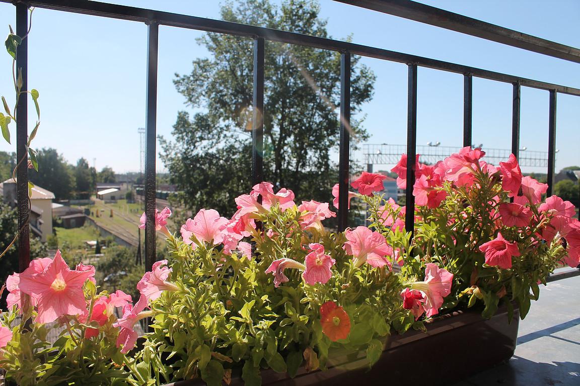 Фото Экспресс