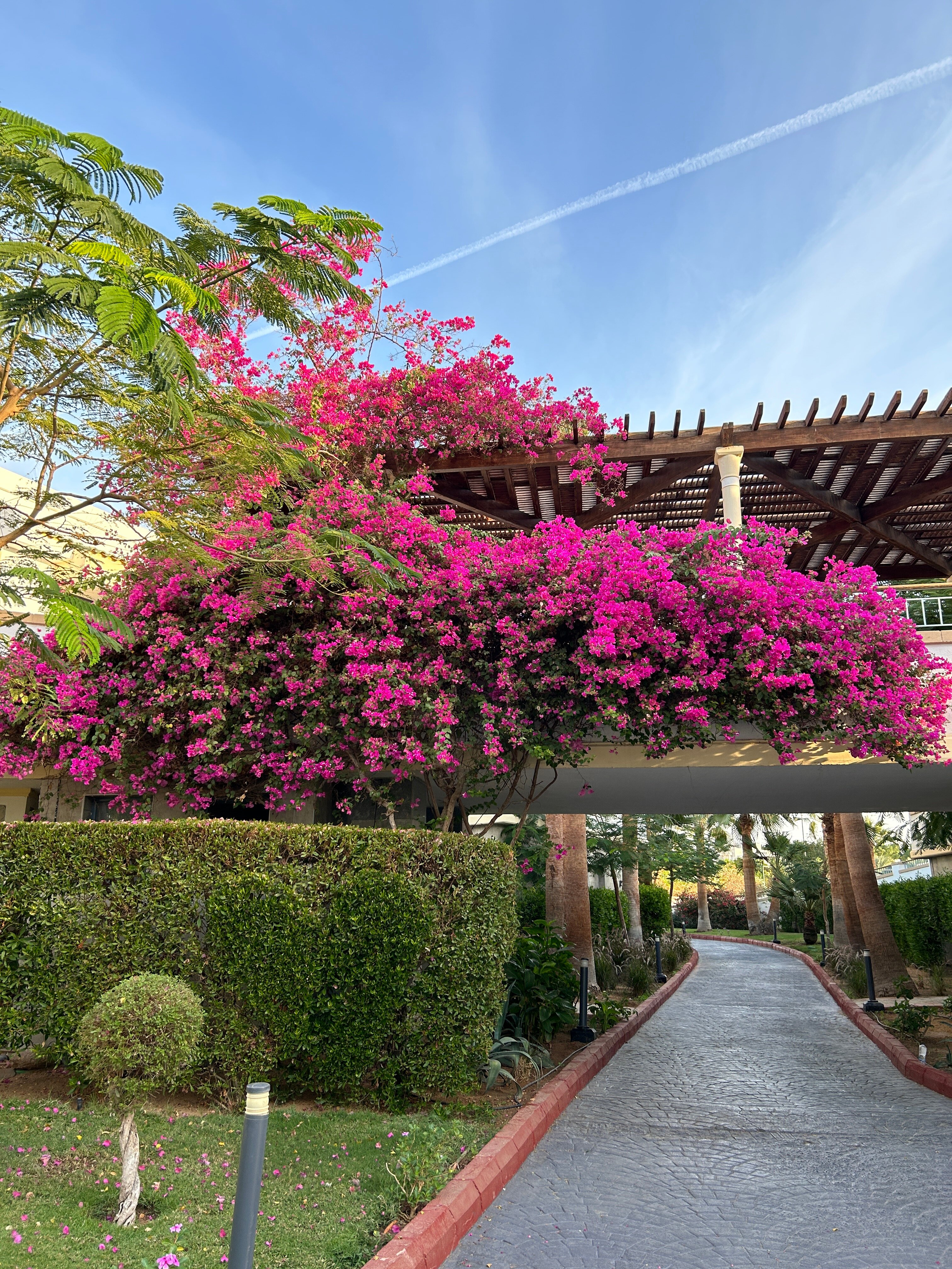 Фото Park Regency Sharm El Sheikh Resort