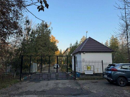 Жалаңаш Боровская Светлана