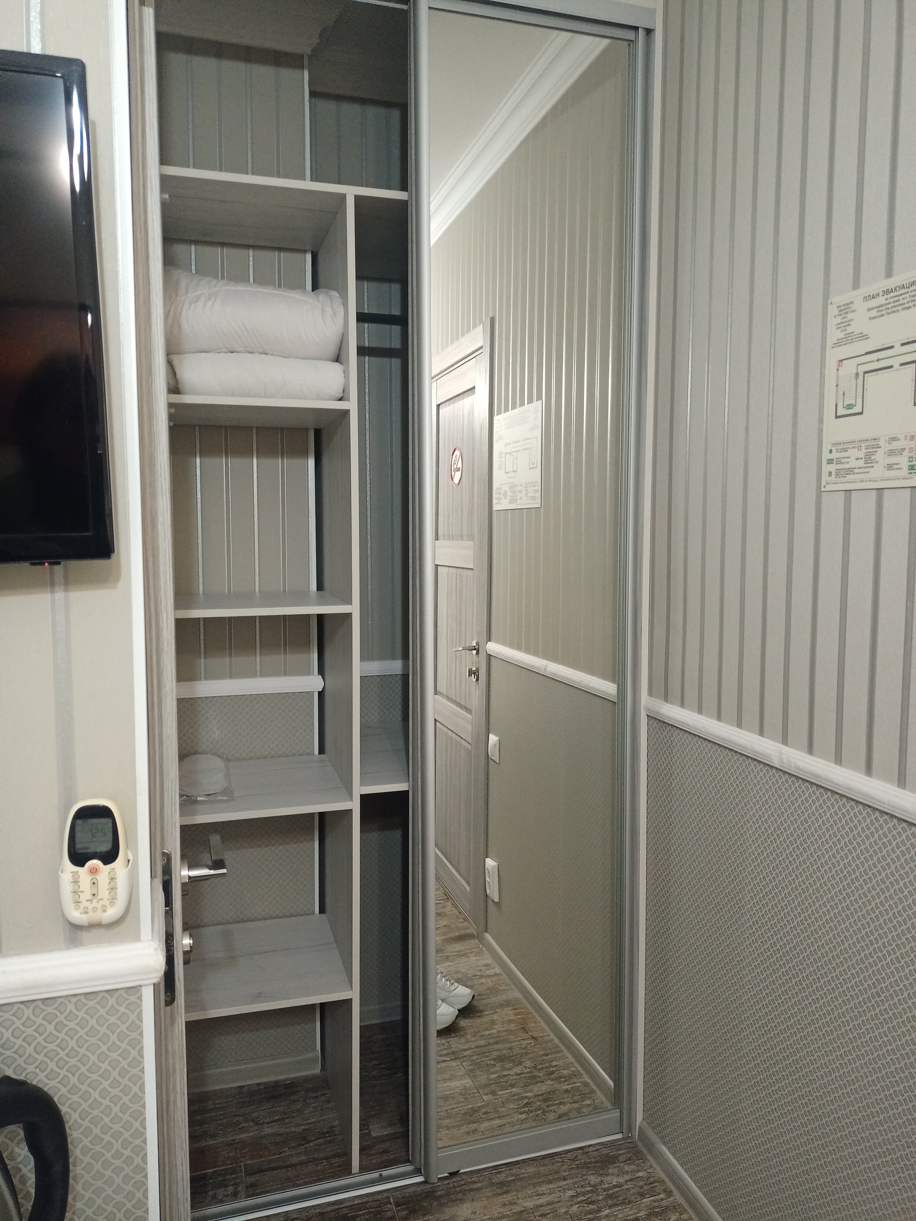 Фото Тростник