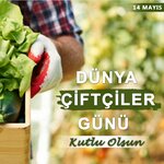 Ahmet Erkan Seed Production (Sakarya, Adapazari, Kurtbeyler Neighborhood, Kurtdogan Avenue, 42), agricultural enterprise