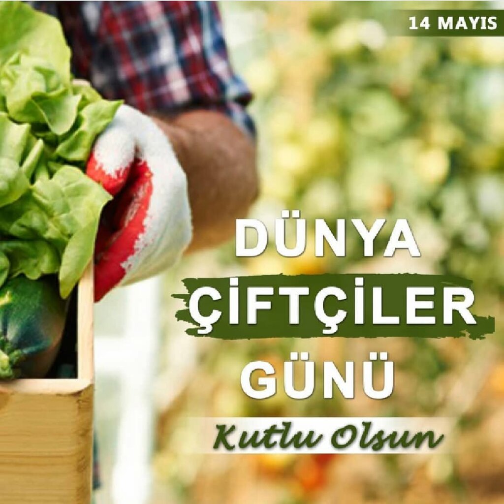 Agricultural enterprise Ahmet Erkan Seed Production, Adapazari, photo