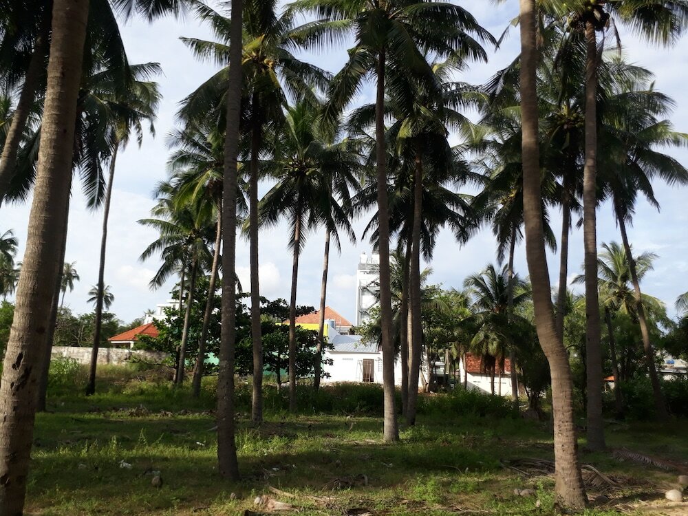 Фото Damina Boutique Hotel