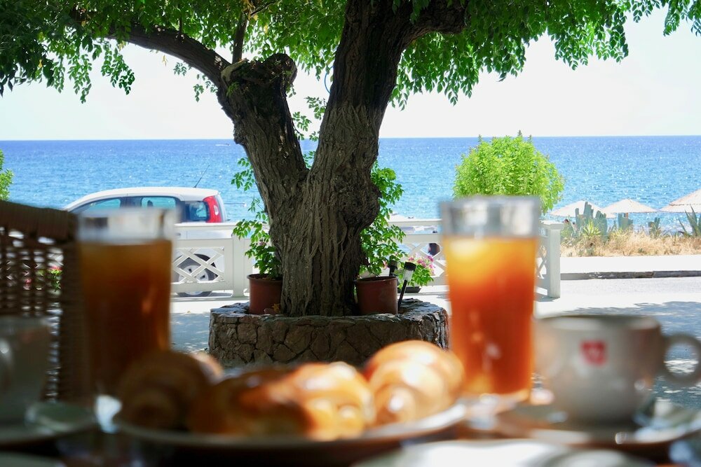 Фото Stegna Dream