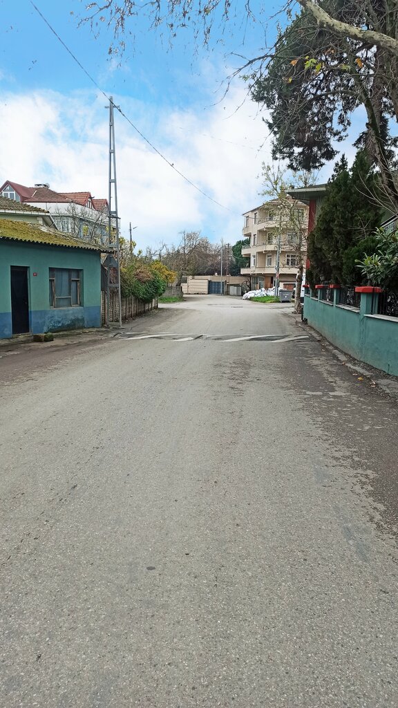 Мечеть Центральная Мечеть Орханли, Стамбул, фото