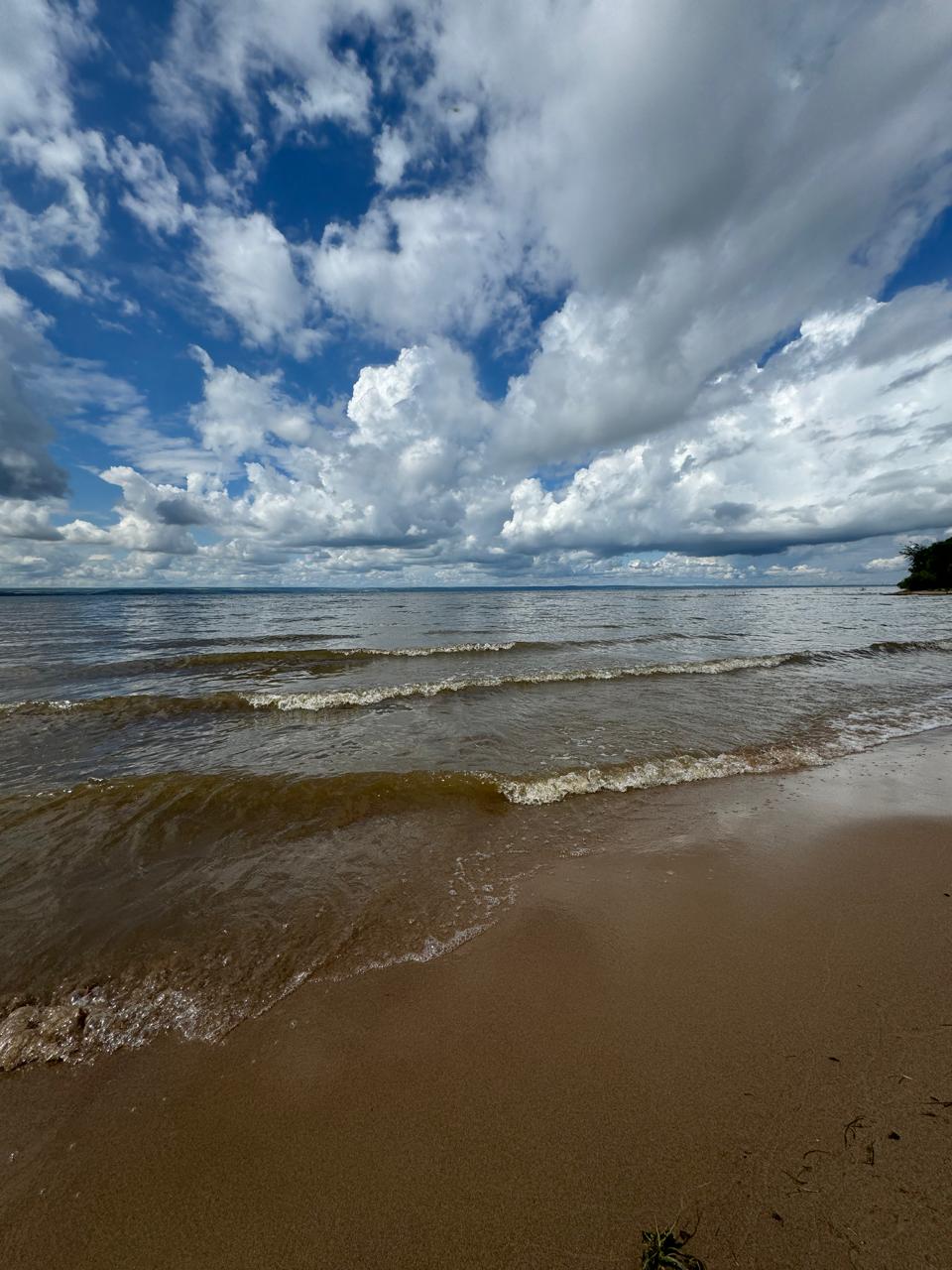 Фото Лесная Хижина