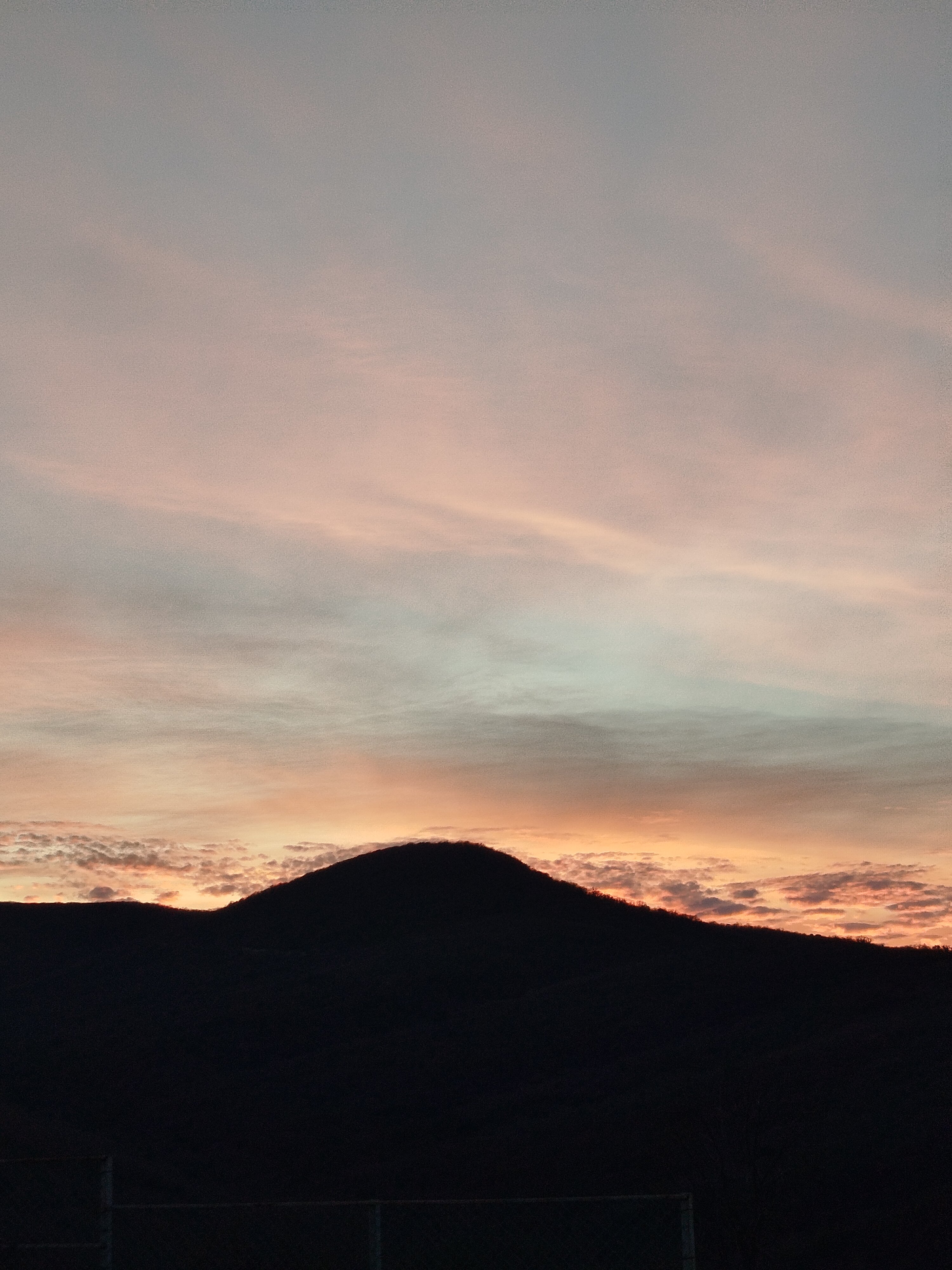 Фото Александрия Garden