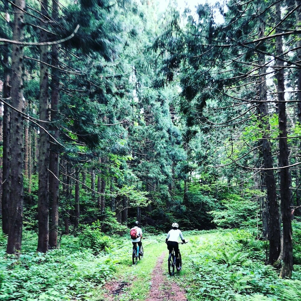 Фото The Guest House Japan Hakuba