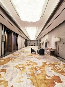Гостиница Wanda Vista Changchun