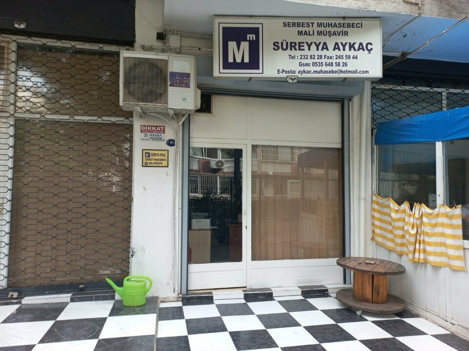 Accountants Freelance Accountant Financial Advisor Sureyya Aykac, Izmir, photo