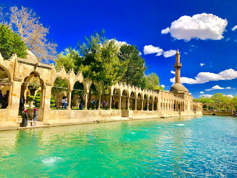 Tour operator Coşan İldun Tourism, Odemis, photo