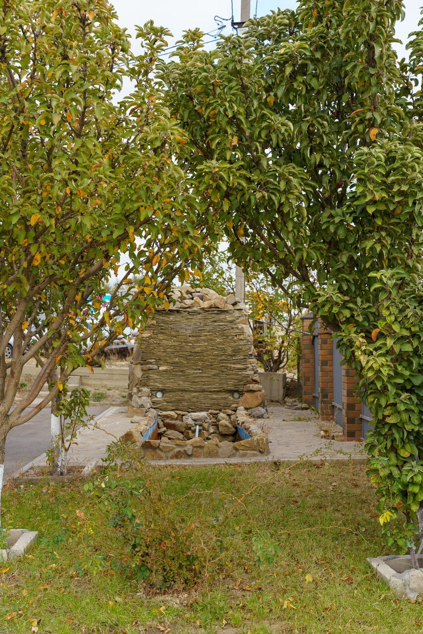 Фото Мирэль