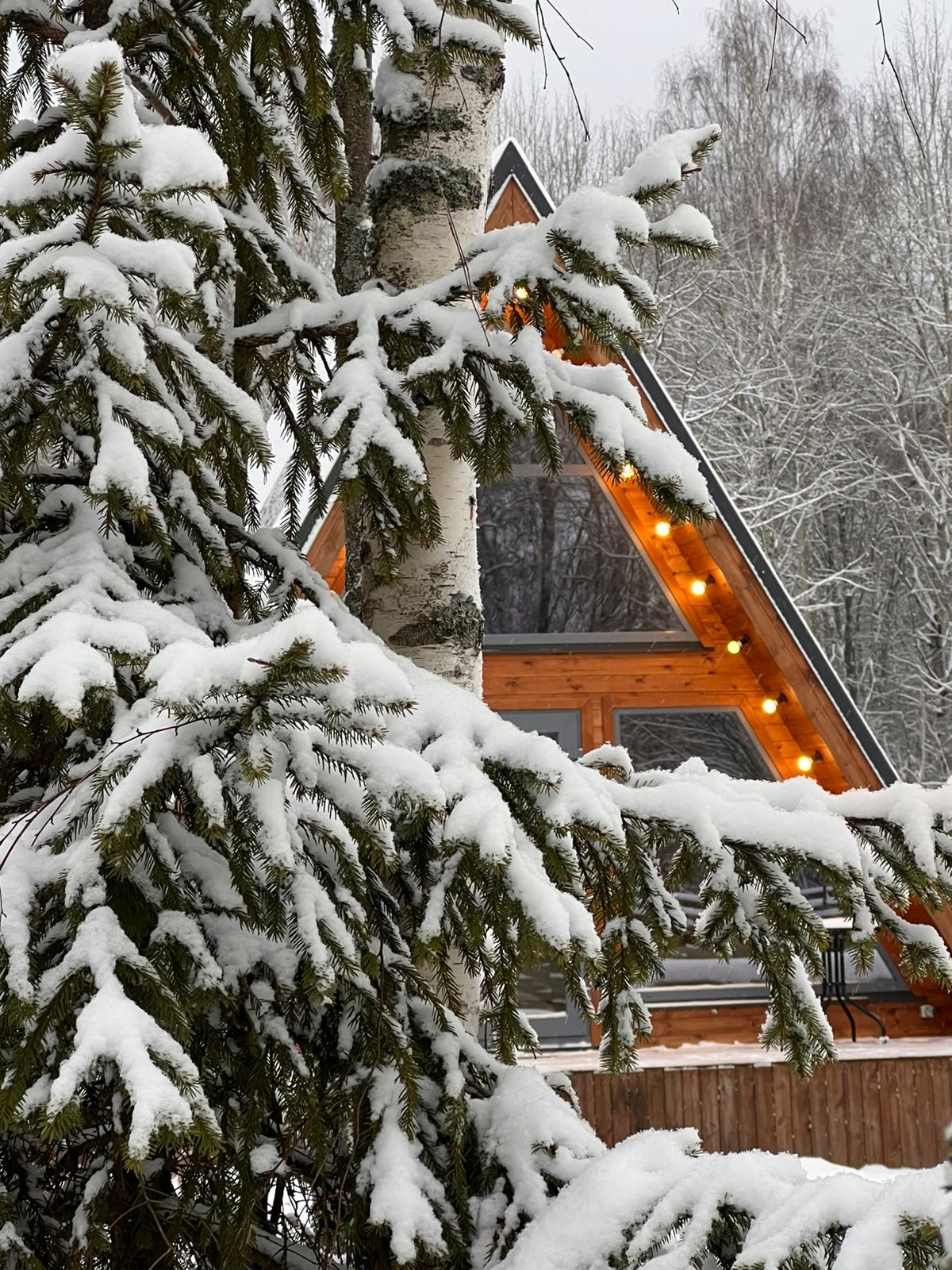 Фото Family Hive