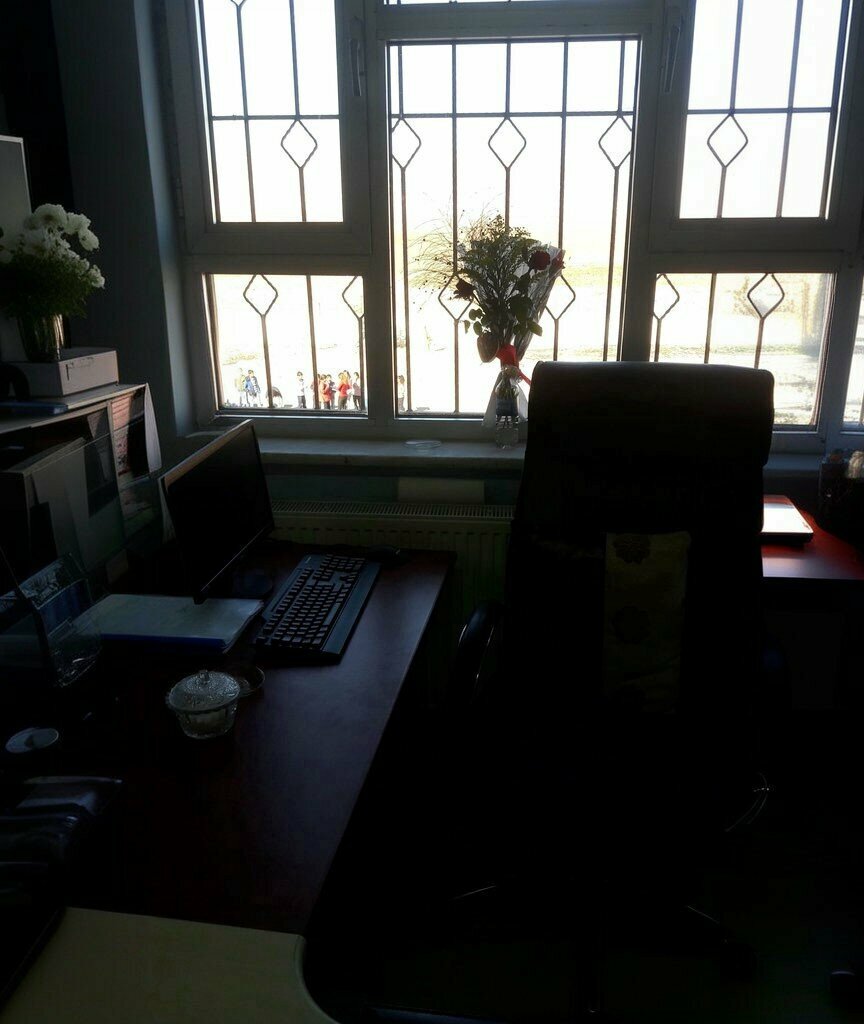 Primary school Girmeli Ilkogretim Okulu, Nusaybin, photo