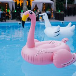 Фото Темерницкий