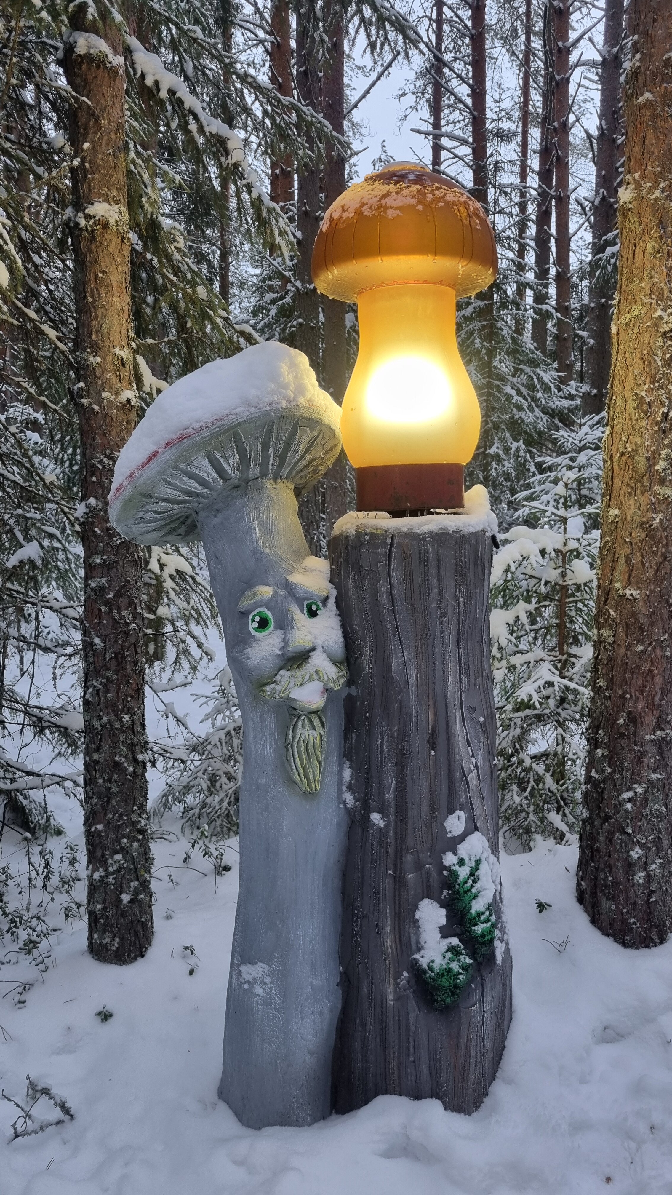 Фото Вотчина Деда Мороза