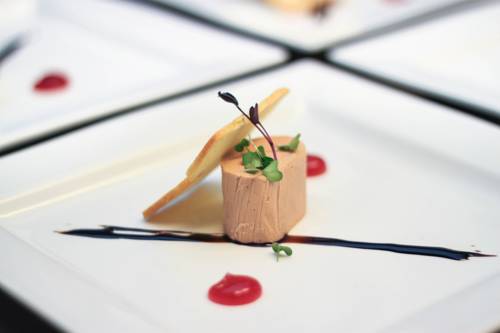 Фото Rosa Canina