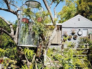 Фото Bamboo, the Guest House