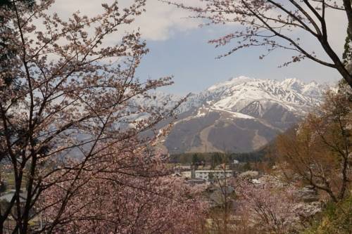 Фото Share and Guest House Hakuba Share