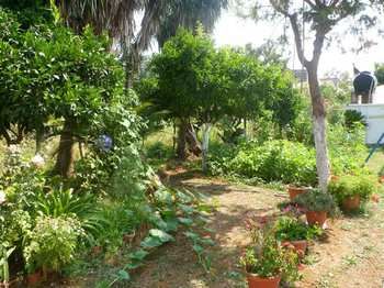 Фото Angela Hotel and Apartments