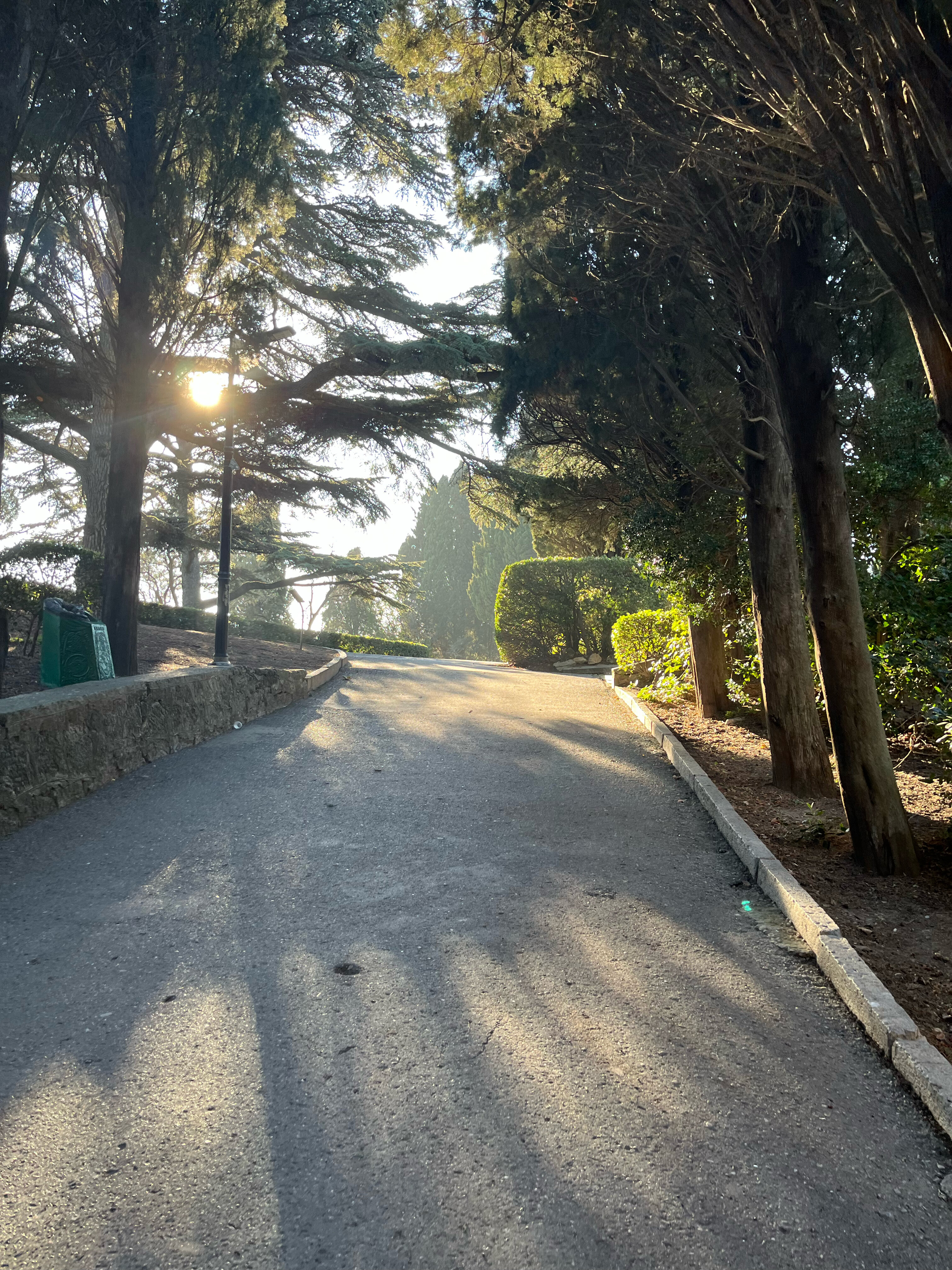 Фото Мисхорский парк