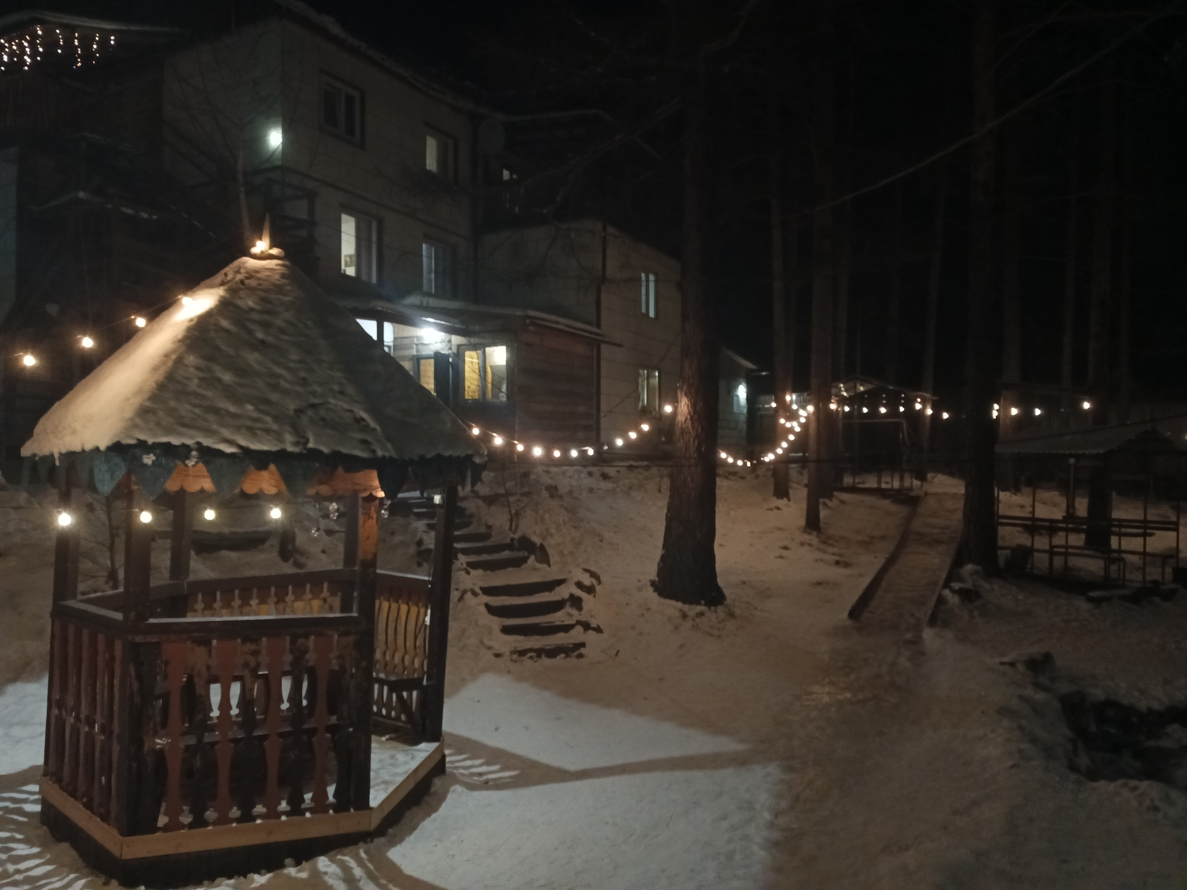 Фото Аршанский бор