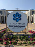 Deep Vision Advertising LLC (42, Doha Road, Deira, Dubai), advertising agency