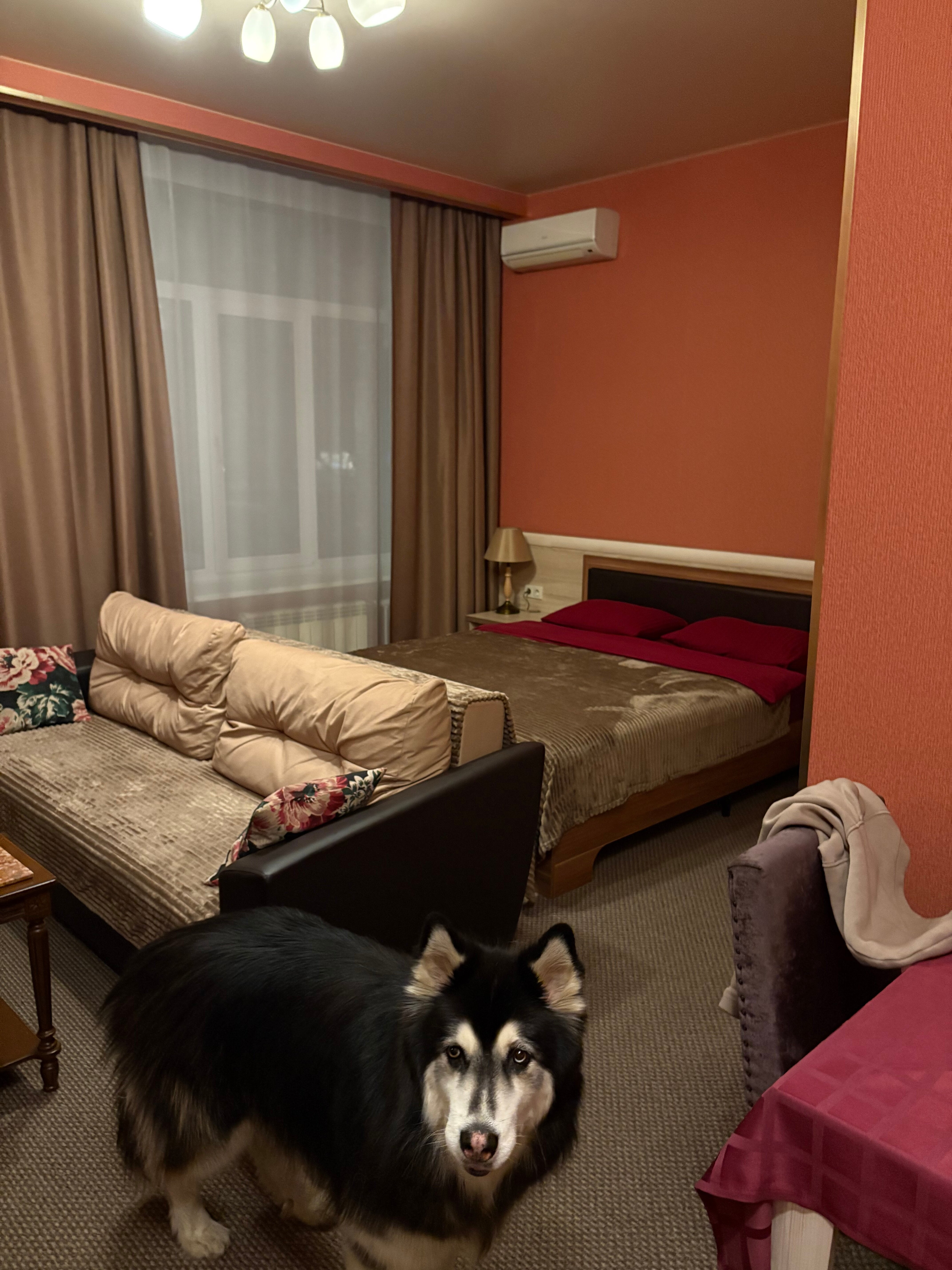 Фото Стандартофф