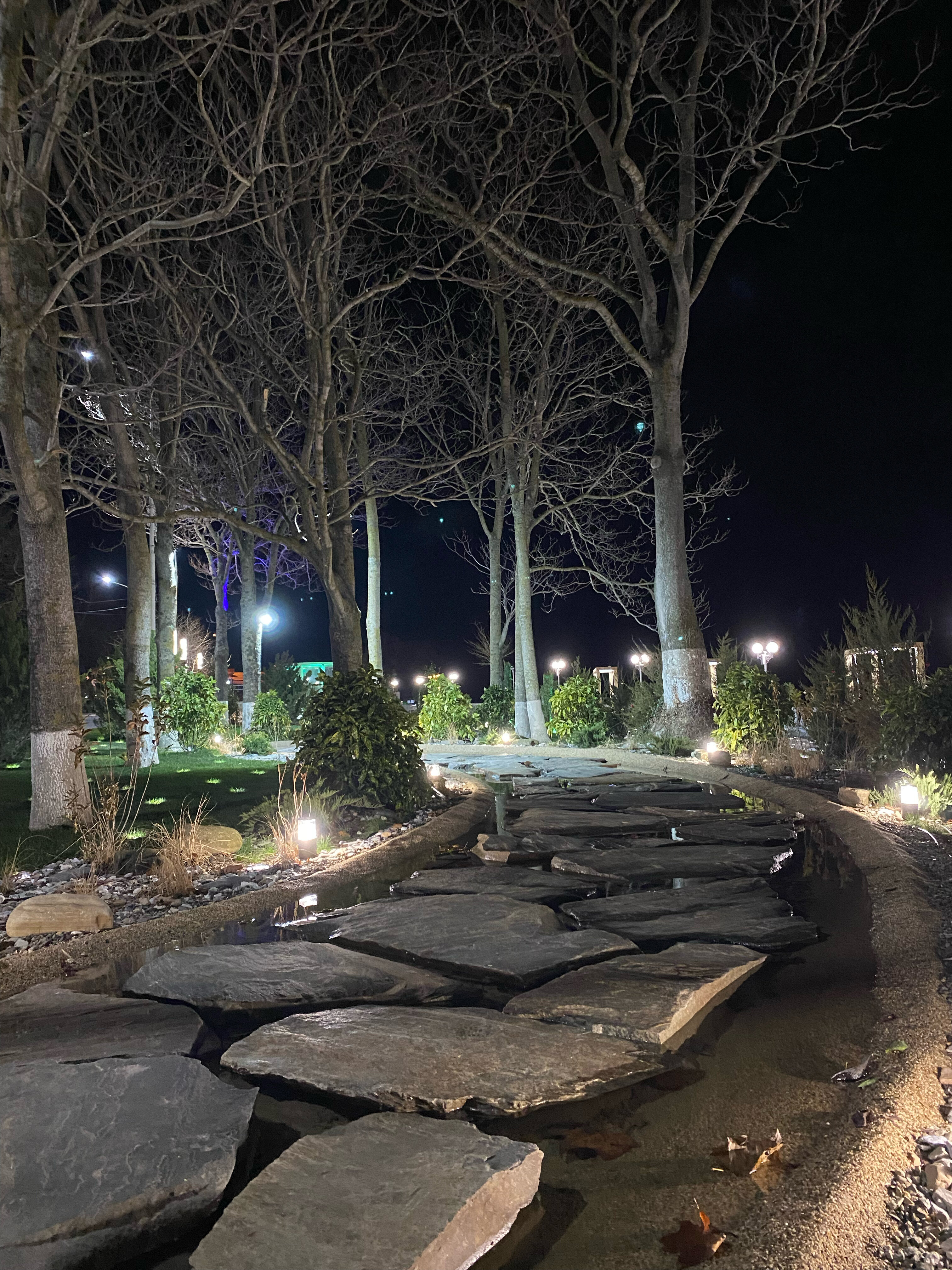 Фото Прованс