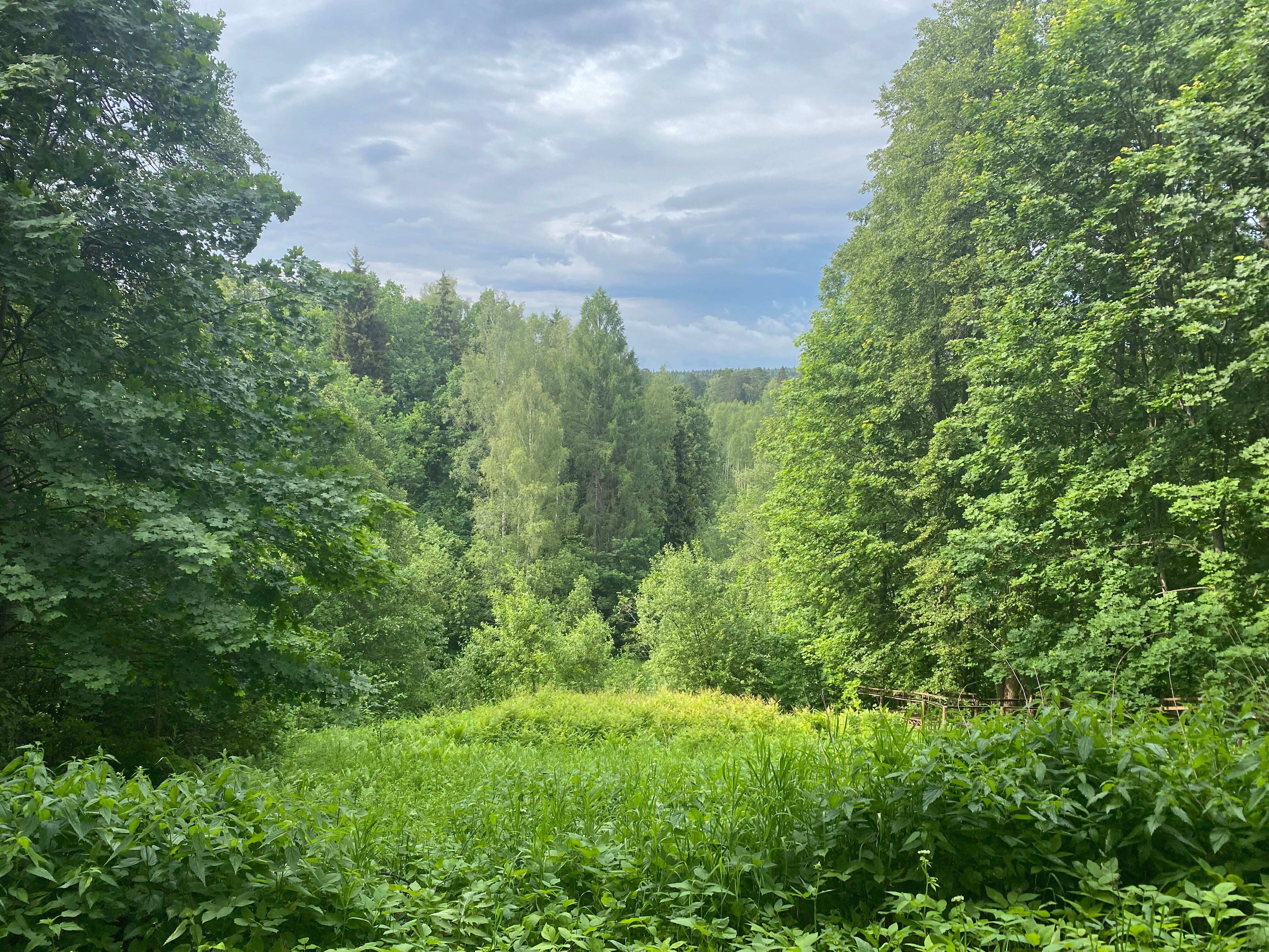 Фото Абрамцево