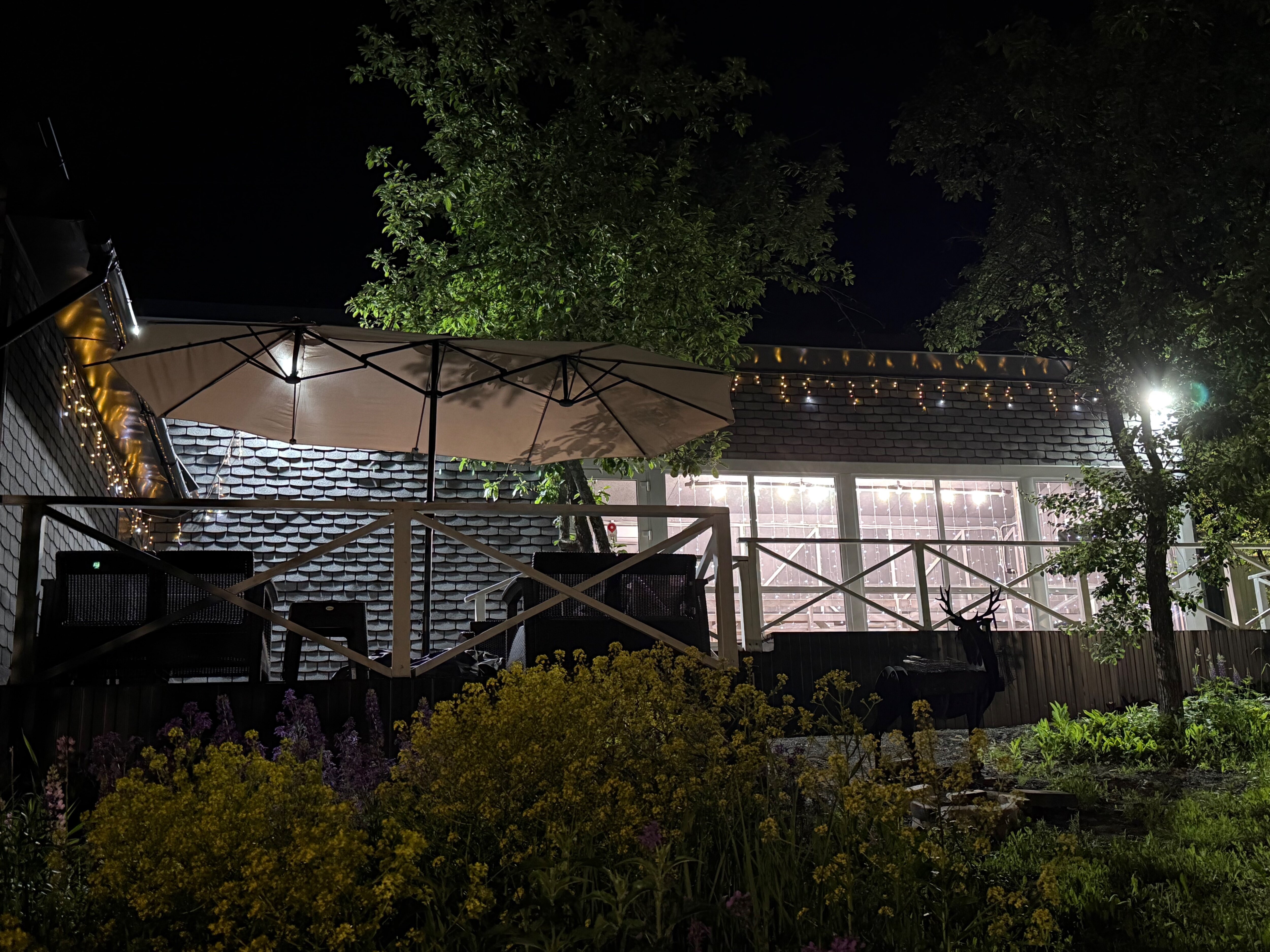 Фото Декабрьская