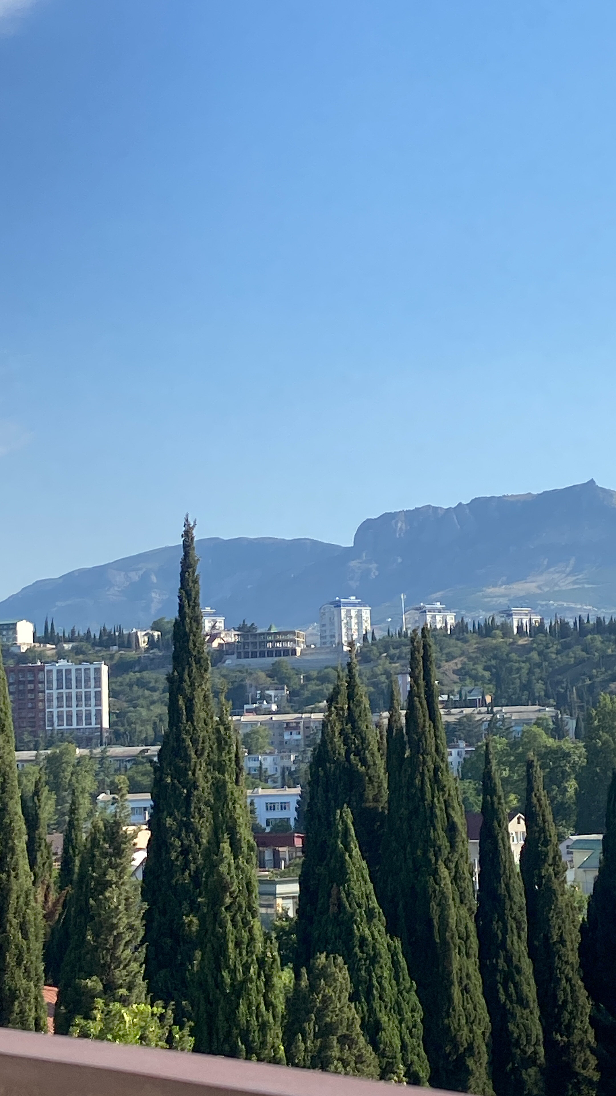 Фото Папайя