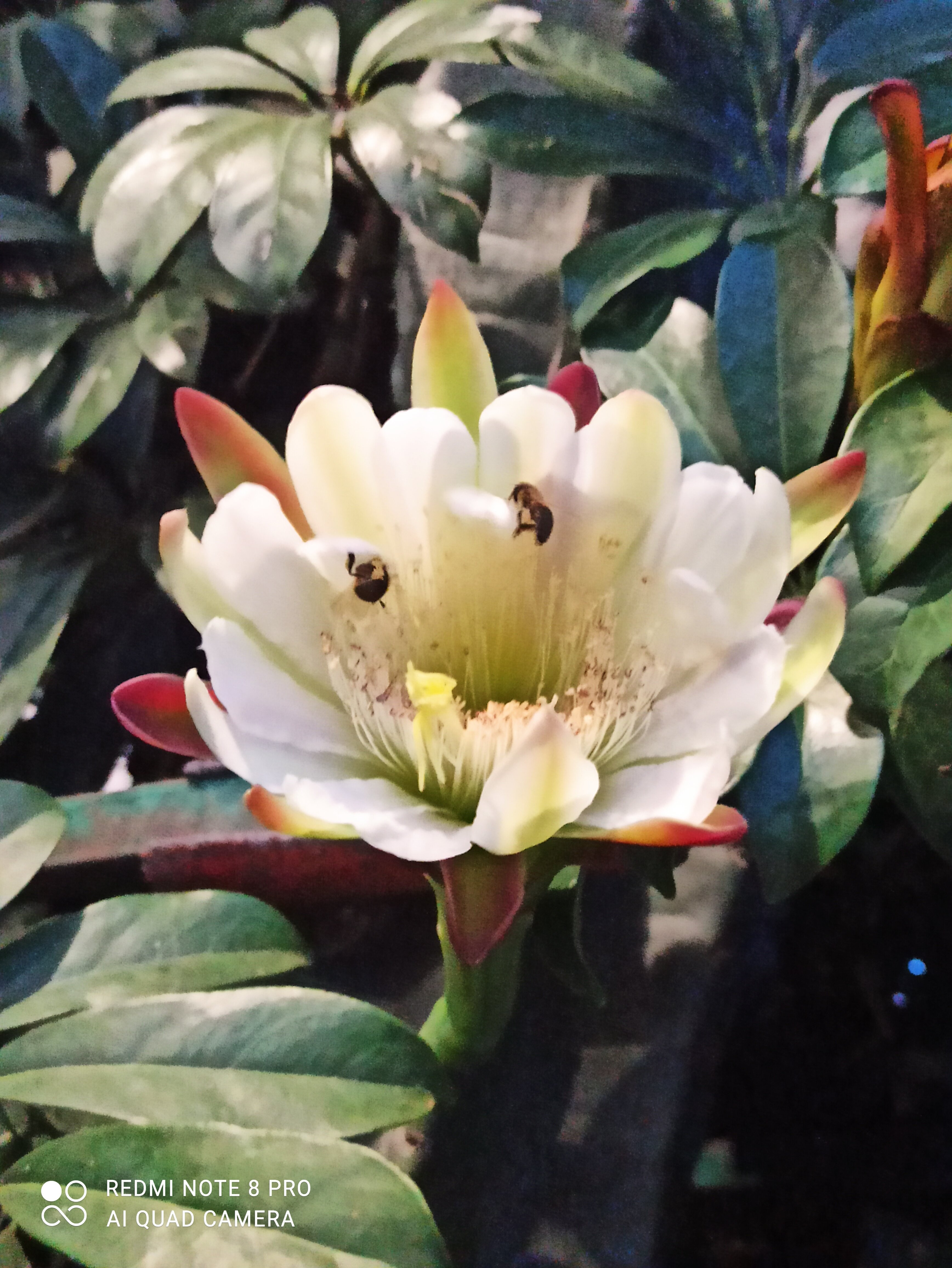 Фото Даниель