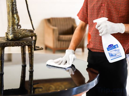 Фото Lemon Tree Premier Dwarka